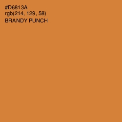 #D6813A - Brandy Punch Color Image